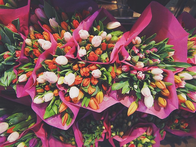 kytice tulipánů.jpg