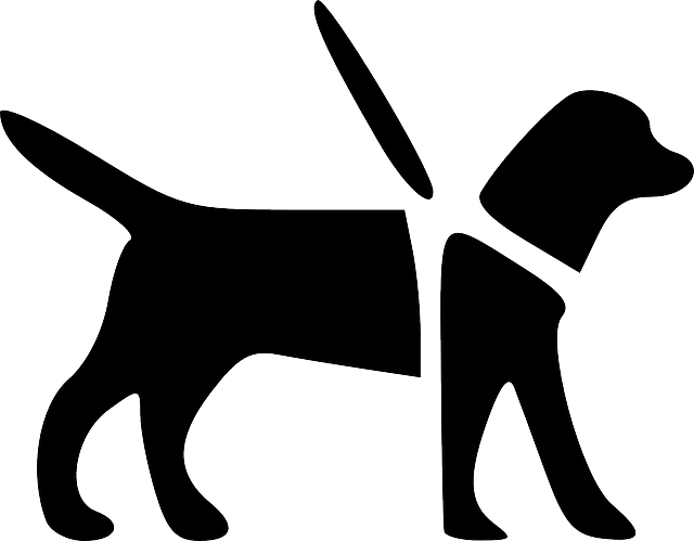 logo psa s asistencí